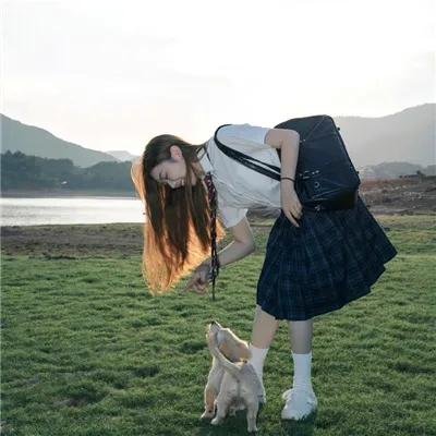 当狗爱上猫粤语